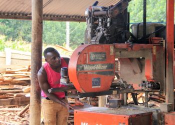 From Wood to Timber: How €15m is Transforming Uganda’s Forests into Jobs