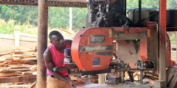 From Wood to Timber: How €15m is Transforming Uganda’s Forests into Jobs