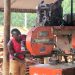 From Wood to Timber: How €15m is Transforming Uganda’s Forests into Jobs