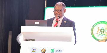 Prof Barnabas Nawangwe