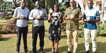 Makerere Researchers Develop New Soybean Variety Approved for Release