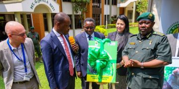 Census Confirms 426 Chimpanzees in Bwindi