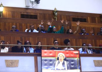 Creatives Celebrate as Parliament Passes Copyright Amendment Bill