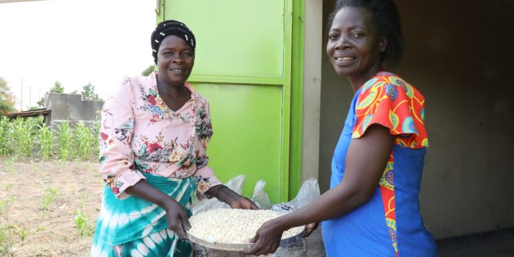 AGRA Food Security Monitor Highlights Uganda’s Strategic Role Food Markets in East Africa