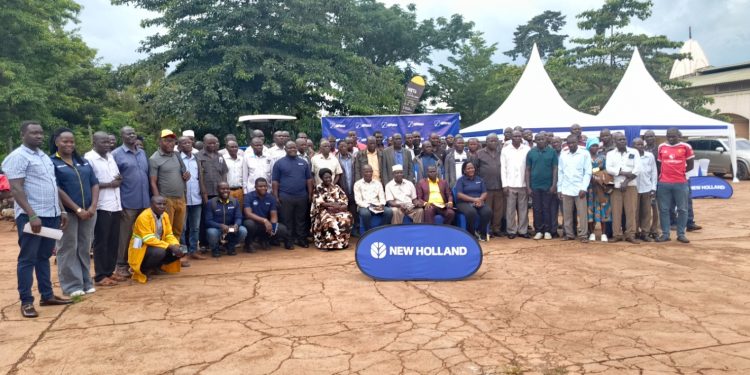 She Cranes Qualify for Netball World Cup 2027