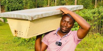 Liquid Gold: How Bunyangabu Beekeepers are Extracting Sweet Success from Honeycombs