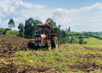 Hoes to Horsepower: How Machinery and Microfinance are Turning Tooro Farmers into Regional Suppliers