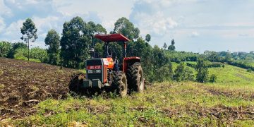 Hoes to Horsepower: How Machinery and Microfinance are Turning Tooro Farmers into Regional Suppliers