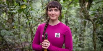 Game of Thrones Actress Maisie Williams Mesmerised by Bwindi’s Mountain Gorillas