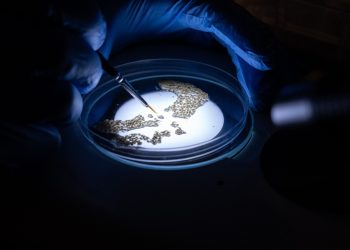 Inside the Science: How Malaria Innovation is Researched, Assessed and Tested