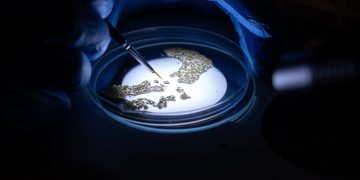 Inside the Science: How Malaria Innovation is Researched, Assessed and Tested