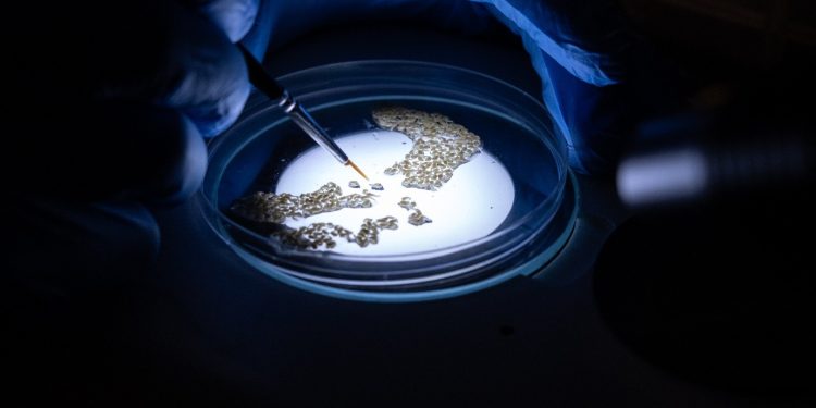 Inside the Science: How Malaria Innovation is Researched, Assessed and Tested