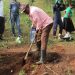 Climate-Smart Success: Hoima Farmer Outsmarts Termites with New Woodlot Shift