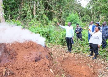 Bugoma Forest Protection Intensifies as UWA Takes Charge