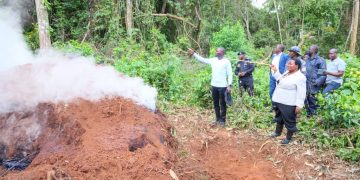 Bugoma Forest Protection Intensifies as UWA Takes Charge