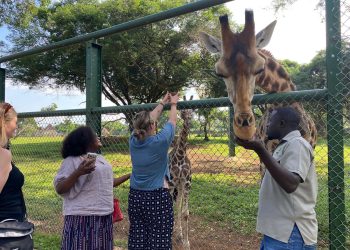 Australian Delegation Applauds Uganda’s Conservation Efforts