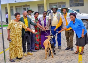 ECOTRUST Rewards Model Agroforestry Farmers with Goats, Vegetable Seedlings