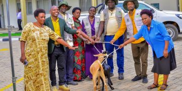 ECOTRUST Rewards Model Agroforestry Farmers with Goats, Vegetable Seedlings