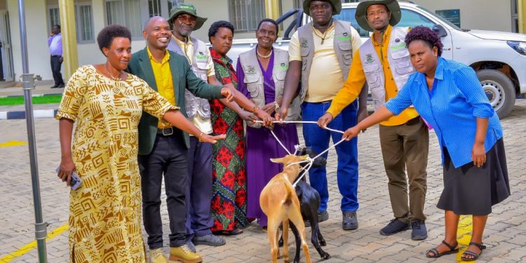 ECOTRUST Rewards Model Agroforestry Farmers with Goats, Vegetable Seedlings