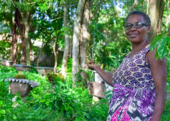 How ECOTRUST is Transforming Uganda’s Climate Frontlines Through Farmer-Led Carbon Forestry