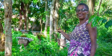 How ECOTRUST is Transforming Uganda’s Climate Frontlines Through Farmer-Led Carbon Forestry