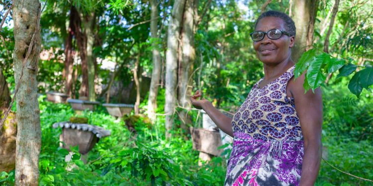 How ECOTRUST is Transforming Uganda’s Climate Frontlines Through Farmer-Led Carbon Forestry
