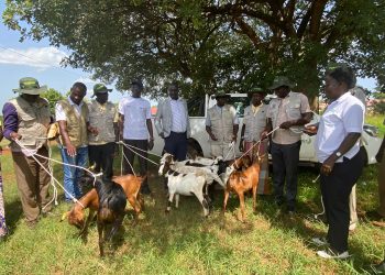 How ECOTRUST is Building Climate Resilience and Livelihoods in Northern Uganda