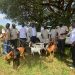 How ECOTRUST is Building Climate Resilience and Livelihoods in Northern Uganda