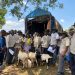Kagadi Model Farmers Rewarded With Goats as Agroforestry Programme Closes