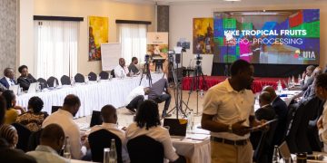 Government Moves to Bridge Gaps in Economic Diplomacy Strategy