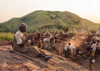 GUARDIANS OF KIKURUNGO | Part 2: Zeluya, the Woman Who Owned Half the Hill but Shared Her World