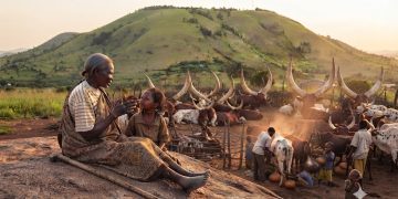 GUARDIANS OF KIKURUNGO | Part 2: Zeluya, The Woman Who Owned Half the Hill but Shared Her World