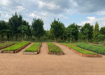 TASLL Project Supports Agribusinesses in Rural Northern Uganda