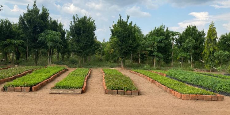 TASLL Project Supports Agribusinesses in Rural Northern Uganda