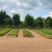 TASLL Project Supports Agribusinesses in Rural Northern Uganda