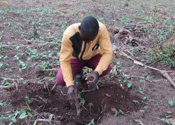 International Youth Day: Empowering Young Farmers to Build a Greener Future with ECOTRUST