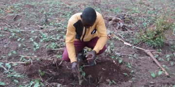 International Youth Day: Empowering Young Farmers to Build a Greener Future with ECOTRUST