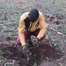 International Youth Day: Empowering Young Farmers to Build a Greener Future with ECOTRUST