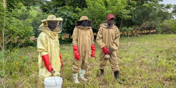 How Beekeeping is Helping a Masindi Community Restore a Degraded Forest
