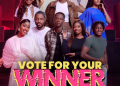 BBNaija Season 11 Voting Officially Opens