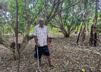 “I Looked for ECOTRUST”: How a Retired Civil Servant Built a Model Conservation Farm