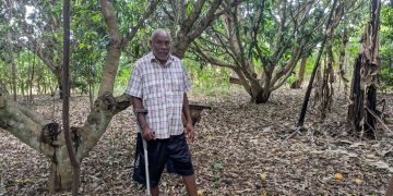 “I Looked for ECOTRUST”: How a Retired Civil Servant Built a Model Conservation Farm