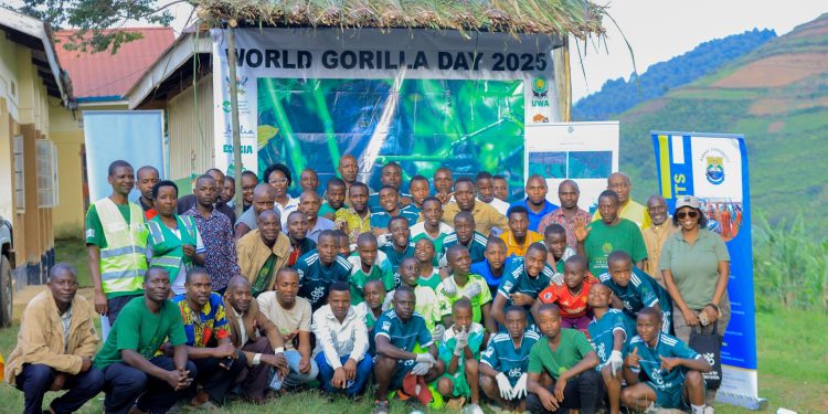 How Uganda is Turning Gorilla Conservation into a Community Dividend
