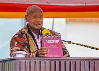 Uganda Coffee Prices Ease as Global Robusta, Arabica Markets Decline