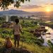 GUARDIANS OF KIKURUNGO | Final Part: The Guardians We Become—From Kikurungo to the World