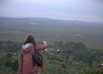 Where the Shoebill Stands Still and Mabamba Keeps Moving