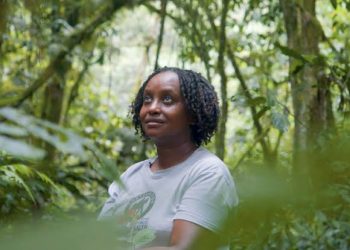 Ugandan Veterinarian Gladys Kalema-Zikusoka Named Among Top 5 CNN Heroes of 2026