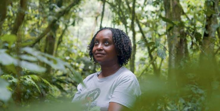 Ugandan Veterinarian Gladys Kalema-Zikusoka Named Among Top 5 CNN Heroes of 2026