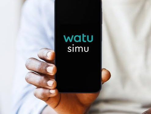 Field Officer Jailed for Flashing and Stealing Nine Watu Simu Phones